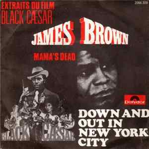 James Brown - Down And Out In New York City Mp3