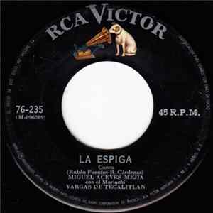 Miguel Aceves Mejia Con El Mariachi Vargas De Tecalitlan - La Espiga Mp3