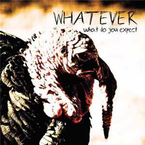 Whatever - What Do You Expect Mp3