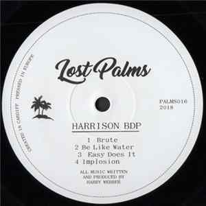 Harrison BDP - Be Like Water Mp3