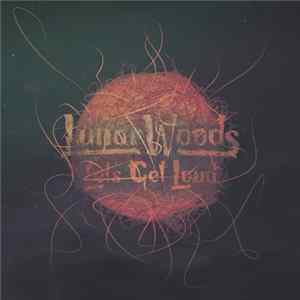 Lunar Woods - Let's Get Loud! Mp3