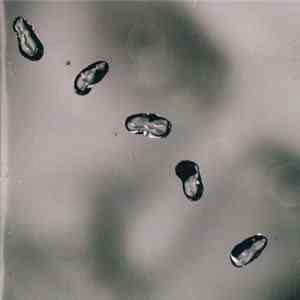 Peter Gabriel - Up Mp3