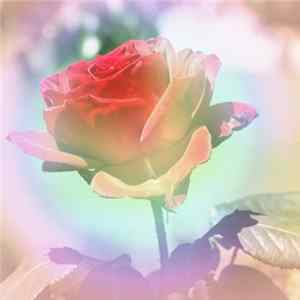 Rebecca Tripp - Orchestral Poems Mp3