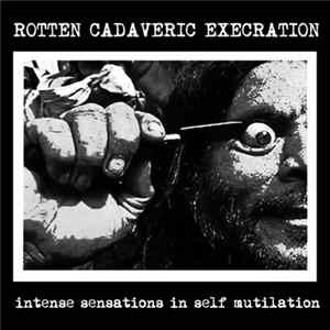 Rotten Cadaveric Execration - Intense Sensations In Self Mutilation Mp3