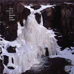 Deep Listening Band - Needle Drop Jungle Mp3