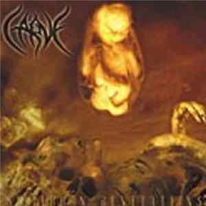 Carve - Stillborn Revelations Mp3