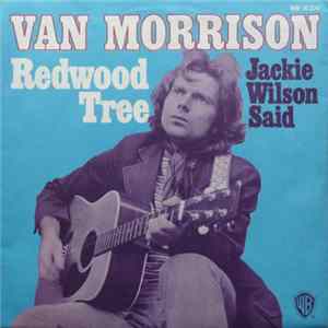 Van Morrison - Redwood Tree Mp3