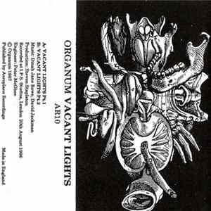 Organum - Vacant Lights Mp3