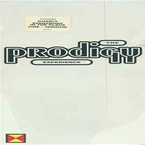 The Prodigy - Experience Mp3