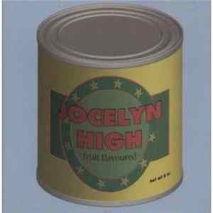 Jocelyn High - Fruit Flavoured Mp3