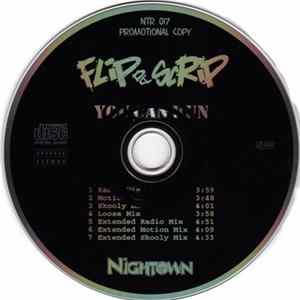 Flip Da Scrip - You Can Run Mp3