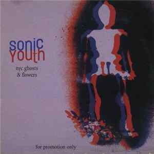 Sonic Youth - NYC Ghosts & Flowers Mp3