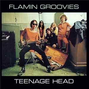 The Flamin' Groovies - Teenage Head Mp3