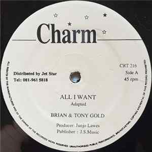 Brian & Tony Gold, Cocoa T & Ninjaman - All I Want / The Girl Is Mine Mp3