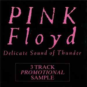 Pink Floyd - Delicate Sound Of Thunder (3 Track Promotional Sample) Mp3