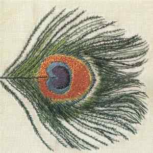 XTC - Homespun Mp3