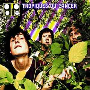 Polipe - Tropiques Du Cancer Mp3