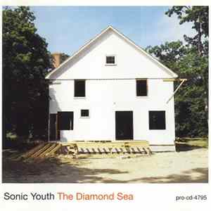 Sonic Youth - The Diamond Sea Mp3