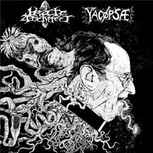 Yacøpsæ / Irate Architect - Split 10" Mp3