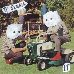 Ty Segall - It Mp3