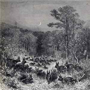 Rabbit Witch - March Of The Warren (Demo) Mp3