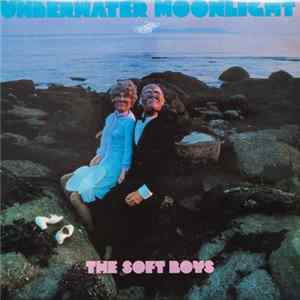 The Soft Boys - Underwater Moonlight Mp3