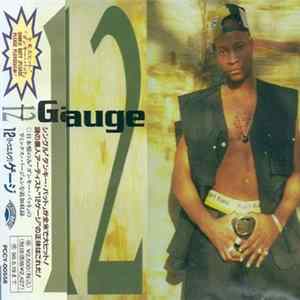 12 Gauge - 12 Gauge Mp3