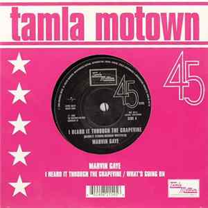 Marvin Gaye - I Heard It Through The Grapevine / What's Going On Mp3