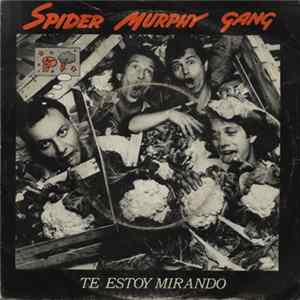 Spider Murphy Gang - Ich Schau' Dich An = Te Estoy Mirando Mp3