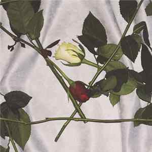 Chain Of Flowers - Chain Of Flowers Mp3