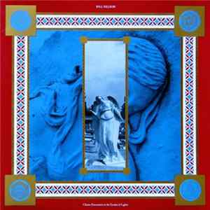 Bill Nelson - Chance Encounters In The Garden Of Lights Mp3
