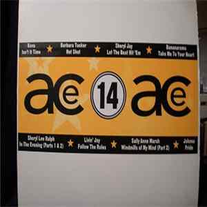 Various - Ace Remix Service Volume 14 Mp3