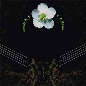 Novelist - Drosera Mp3