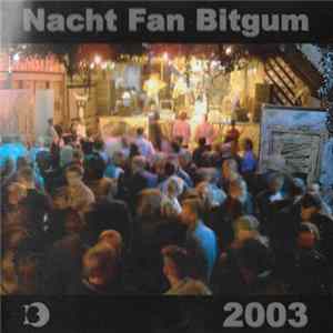 Various - Nacht Fan Bitgum 2003 Mp3