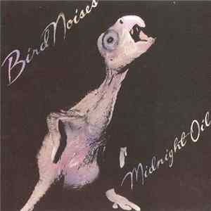 Midnight Oil - Bird Noises Mp3