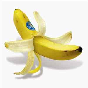 Monkey Majik - Time Mp3