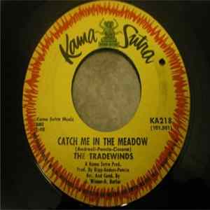 The Tradewinds - Catch Me In The Meadow / I Believe In Her Mp3