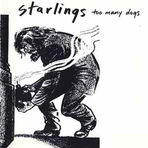Starlings - Too Many Dogs Mp3