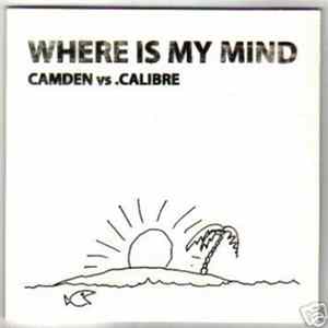 Camden vs .Calibre - Where Is My Mind Mp3