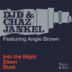 DJD & Chaz Jankel Featuring Angie Brown - Into The Night Mp3