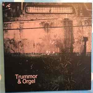 Trummor & Orgel - Indivisibility Mp3
