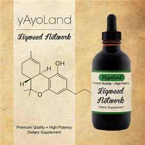 Yayoland - Liqweed Network Mp3