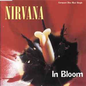 Nirvana - In Bloom Mp3