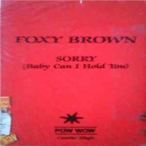 Foxy Brown - Sorry (Baby Can I Hold You) Mp3