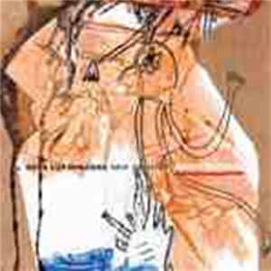 Rosa Luxembourg New Quintet - Night Asylum Mp3
