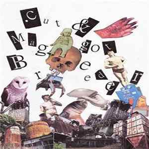 Masatani Hideki / .cut & Maggot Breeder - Split Mp3