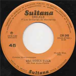 Chelelo Y Los Brillantes De Monterrey - Una Mosca Bizca / Serian Las Dos Mp3
