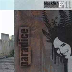 Paradice - Mellow & Steady Mp3