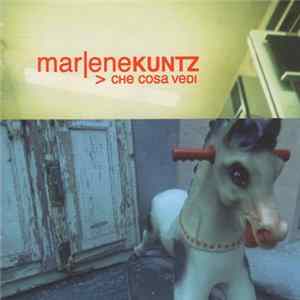 Marlene Kuntz - Che Cosa Vedi Mp3