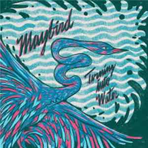 Maybird - Turning Into Water Mp3